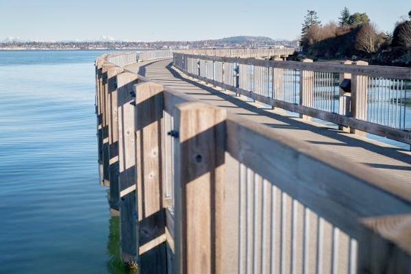 bellingham wa